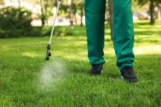 Wasp Removal Services in Latta, OK