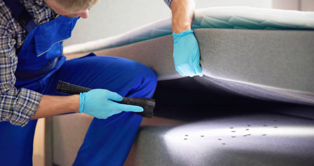 Best Wasp Removal Services  in Latta, OK